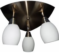 Настенно-потолочный спот РОССВЕТ 3*40Вт*E14 РС17320 BR/3S