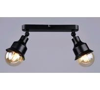 Настенно-потолочный спот РОССВЕТ 2* 60Вт* E27 РС20868 BK/2C