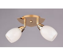Настенно-потолочный спот РОССВЕТ 2*40Вт*E14 РС17350 CG/2S