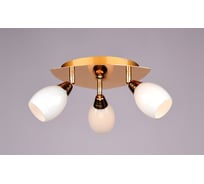 Настенно-потолочный спот РОССВЕТ 3*40Вт*E14 РС17350 CG/3S