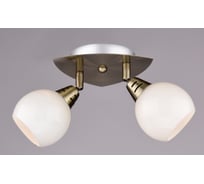 Настенно-потолочный спот РОССВЕТ 2*40Вт*E14 РС17380 BR/2S