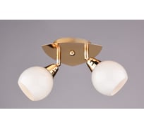 Настенно-потолочный спот РОССВЕТ 2*40Вт*E14 РС17380 CG/2S