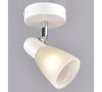 Настенно-потолочный спот РОССВЕТ 1* 40Вт* E14 РС20723 WT+CR/1W