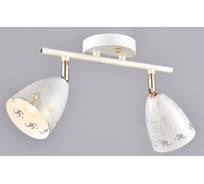 Настенно-потолочный спот РОССВЕТ 2* 60Вт* E27 РС20726 WT+FG/2C