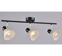 Настенно-потолочный спот РОССВЕТ 3* 40Вт* E14 РС20725 BK+CR/3C