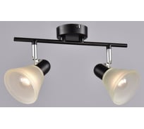 Настенно-потолочный спот РОССВЕТ 2* 40Вт* E14 РС20725 BK+CR/2C