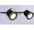 Настенно-потолочный спот РОССВЕТ 2* 10Вт* LED РС22268 BK+CR/2C 1