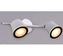 Настенно-потолочный спот РОССВЕТ 2* 10Вт* LED РС21405 WT/2C
