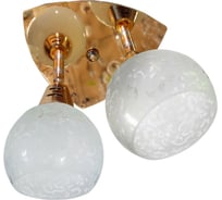 Настенно-потолочный спот РОССВЕТ 2* 40Вт* E14 РС17440 CG/2S