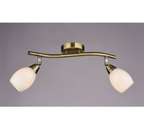 Настенно-потолочный спот РОССВЕТ 2* 40Вт* E14 РС17500 BR/2S