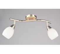 Настенно-потолочный спот РОССВЕТ 2* 40Вт* E14 РС17470 CG/2S