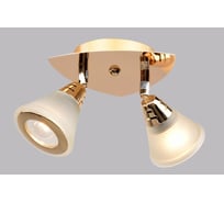 Настенно-потолочный спот РОССВЕТ 2* 60Вт* E14 РС20174 CG/2S