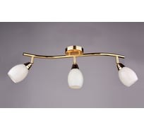 Настенно-потолочный спот РОССВЕТ 3* 40Вт* E14 РС17500 CG/3S