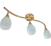 Настенно-потолочный спот РОССВЕТ 3* 40Вт* E14 РС17470 CG/3S