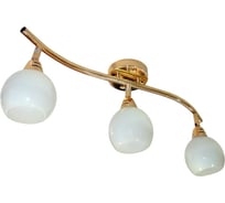 Настенно-потолочный спот РОССВЕТ 3* 40Вт* E14 РС17530 CG/3S