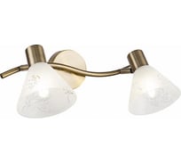 Спот Freya E14, 40 Вт FR7001WL-02BZ