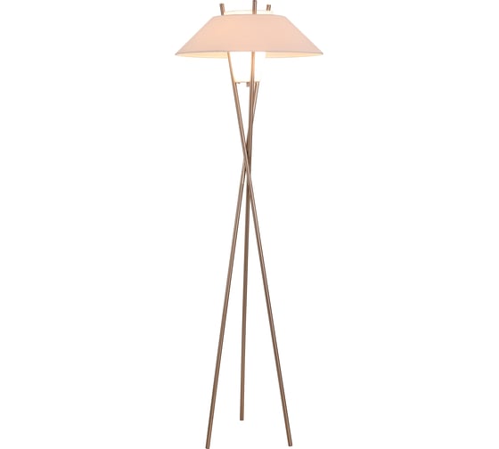 Напольный светильник (торшер) MAYTONI Bastone, 1хE27x40 W MOD006FL-01N