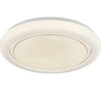 Светильник LUSSOLE LSP-8313