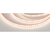 Светодиодная герметичная лента Arlight RTW-PFS-A120-11mm 12V Day4000 5 м 034002
