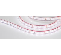 Светодиодная герметичная лента Arlight RTW-PFS-A60-11mm 12V Day4000 5 м 033664