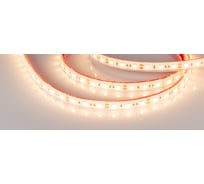 Светодиодная герметичная лента Arlight RTW-PFS-B60-13mm 12V Warm3000 034033