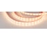 Светодиодная герметичная лента Arlight RTW-PFS-B60-13mm 12V Warm3000 034033 1