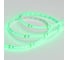 Светодиодная герметичная лента Arlight RTW-SE-A120-8mm 24V Green 5 м 016510(2) 6