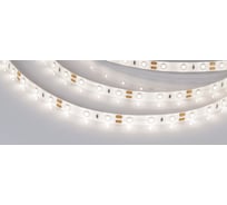 Светодиодная герметичная лента Arlight RTW-SE-A60-8mm 12V Day4000 5 м 020518(2)