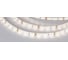 Светодиодная герметичная лента Arlight RTW-SE-A60-8mm 12V Day4000 5 м 020518(2) 1
