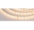 Светодиодная герметичная лента Arlight RTW-SE-A60-8mm 24V Warm3000 5 м 020525(2) 1