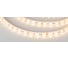 Светодиодная герметичная лента Arlight RTW-SE-B60-10mm 12V Warm3000 5 м 014692(2) 1