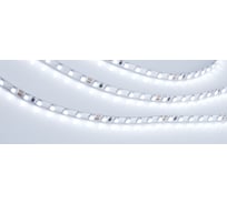 Светодиодная лента Arlight RT-A120-5mm 24V Cool 8K 5 м 015650(2)