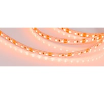 Светодиодная лента Arlight RT-A120-8mm 12V Orange 5 м 015902(2)