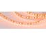 Светодиодная лента Arlight RT-A120-8mm 12V Orange 5 м 015902(2) 1