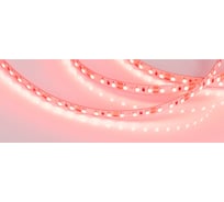 Светодиодная лента Arlight RT-A120-8mm 12V Red 5 м 012329(2)