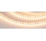 Светодиодная лента Arlight RT-A120-8mm 12V Warm2400 5 м 018091(2) 1