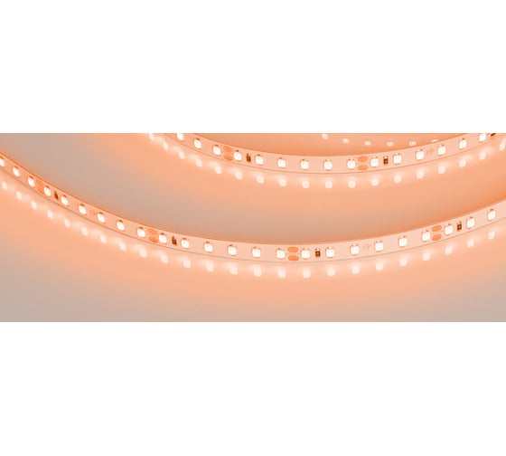 Светодиодная лента Arlight RT-A120-8mm 24V Orange 5 м 015896(2)
