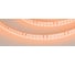 Светодиодная лента Arlight RT-A120-8mm 24V Orange 5 м 015896(2) 2