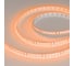 Светодиодная лента Arlight RT-A120-8mm 24V Orange 5 м 015896(2) 4