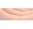 Светодиодная лента Arlight RT-A120-8mm 24V Orange 5 м 015896(2) 1