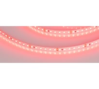Светодиодная лента Arlight RT-A120-8mm 24V Red 5 м 008781(2)