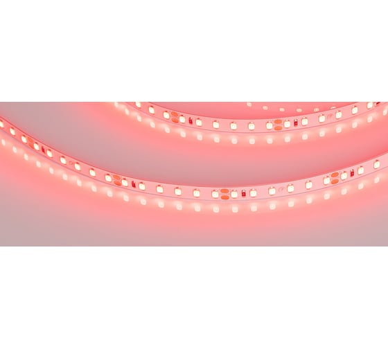 Светодиодная лента Arlight RT-A120-8mm 24V Red 5 м 008781(2)
