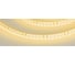 Светодиодная лента Arlight RT-A120-8mm 24V Yellow 5 м 008780(2) 1