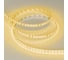 Светодиодная лента Arlight RT-A120-8mm 24V Yellow 5 м 008780(2) 4