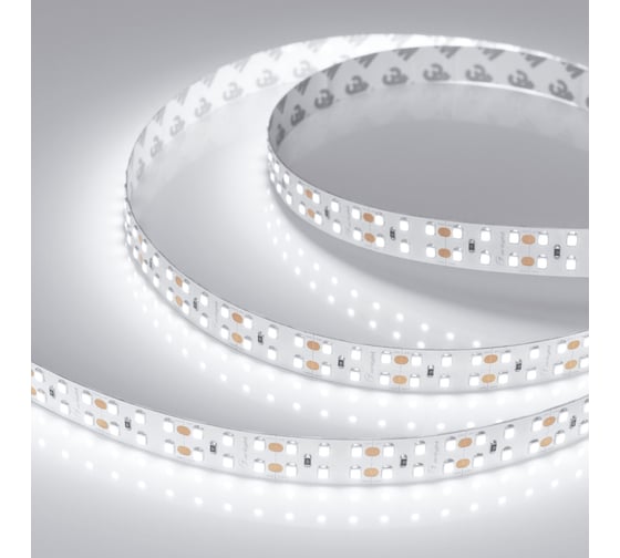 Светодиодная лента Arlight RT-A240-15mm 24V White6000 5 м 008771(2)