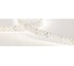 Светодиодная лента Arlight RT-A252-19mm 24V Day4000 CRI98 5 м 025155(2) 1