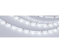 Светодиодная лента Arlight RT-A60-5mm 12V White6000 5 м 028612(2)