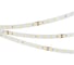 Светодиодная лента Arlight ULTRA-C64-10mm 24V Warm2700 5 м 037455 1