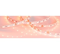 Светодиодная лента Arlight RT-B60-10mm 24V Orange 5 м 015974(2)