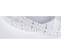 Светодиодная лента Arlight S2-A280-34mm 24V White6000 2,5 м 023402(2)
